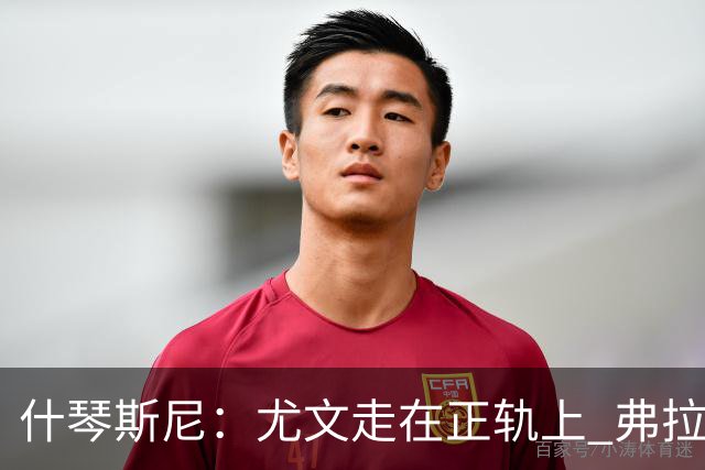 什琴斯尼：尤文走在正轨上 弗拉霍维奇非常出色